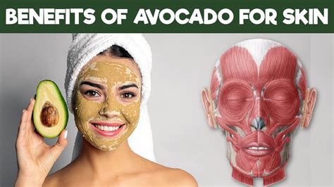 🥑 Avocado Benefits For Skin 5 Ways How Eating Avocado Can Make Skin Healthier Youtube