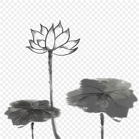 Chinese Style Lotus White Transparent Chinese Style Ink Lotus Chinese