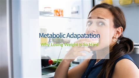 Metabolic Adaptation And Why It Makes Weight Loss So Hard