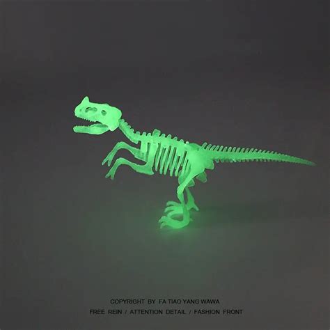 Pcs Fluorescente Engra Ado Dinossauro Modelo De Esqueleto Humano