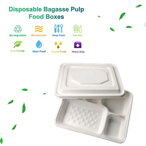 Hot Selling Disposable Biodegradable Compartment Food Container