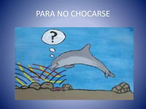 Cómo se comunican los delfines PPT