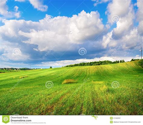 Campo De La Hierba Y Del Cielo Nublado Imagen De Archivo Imagen De