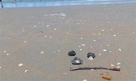 Manchas de óleo voltam a ser encontradas em praias do litoral do Piauí