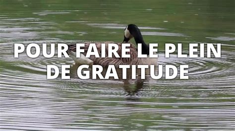 5 minutes pour faire le plein de gratitude Méditation Guidée YouTube