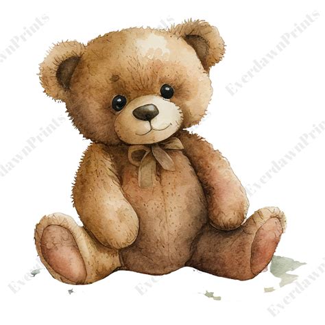 12 Teddy Bear Clipart High Quality Transparent Png Watercolor Card