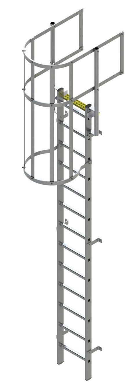 TYPE BL WG Fixed Ladder With Safety Cage Guard Rail Bilco UK NBS