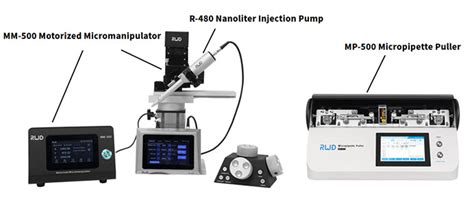 Microinjection- DNA, Zebrafish and Other Examples - RWD Science