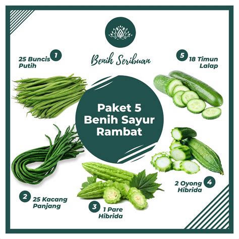 Jual Bibit Sayuran Paket Macam Benih Sayur Rambat Merambat Buncis