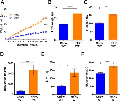 High Fat Highcarbohydrate Diet Induces Obesity Phenotype In Wild Type