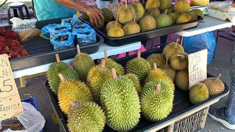 Durian Street Now In Boulevard Area Miri Miri City Sharing