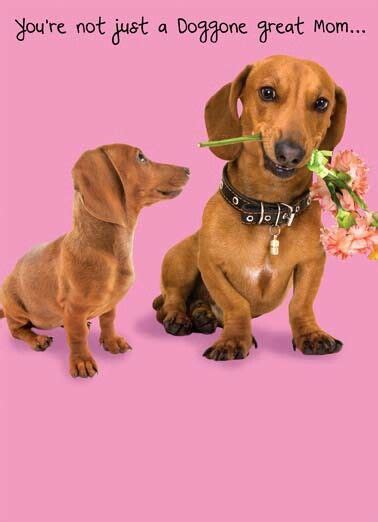 Mothers Day Puppy Cuddles Dog Mom Quotes Funny Dachshund