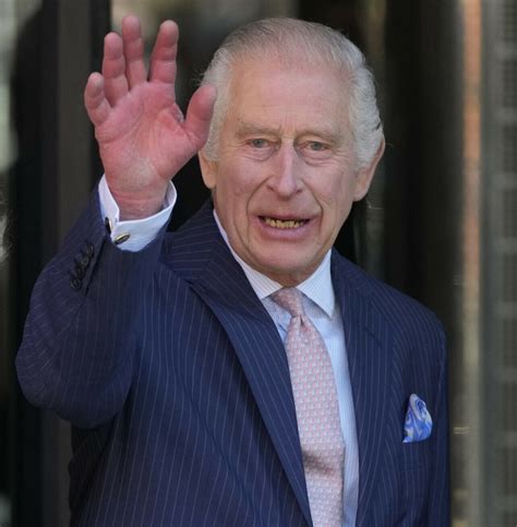 King Charles First Official Portrait Deemed Inappropriate Bright Side