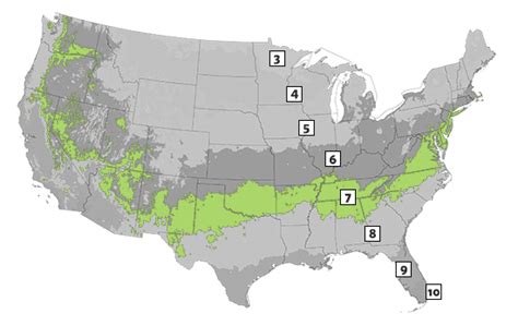 Usda Zone Map The Southern Guide To Plant Hardiness And