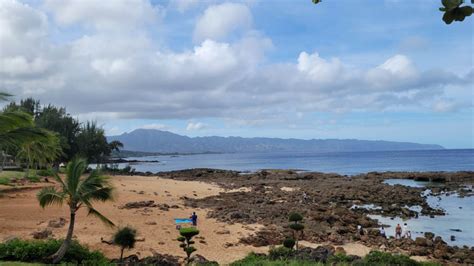 Sharks Cove Oahu This Hawaii Life