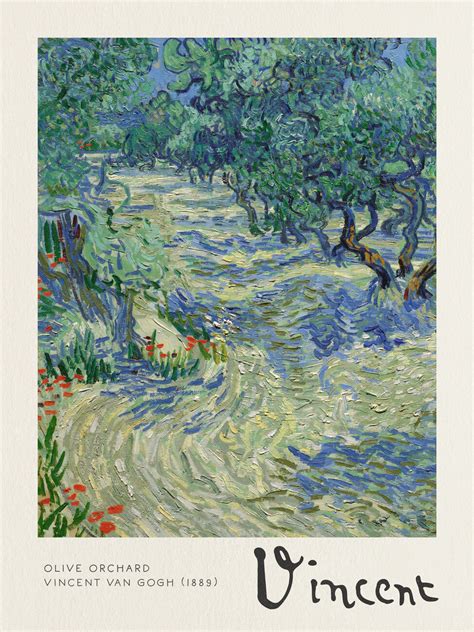 Olive Orchard Vincent Van Gogh Riproduzioni Di Dipinti Famosi Per