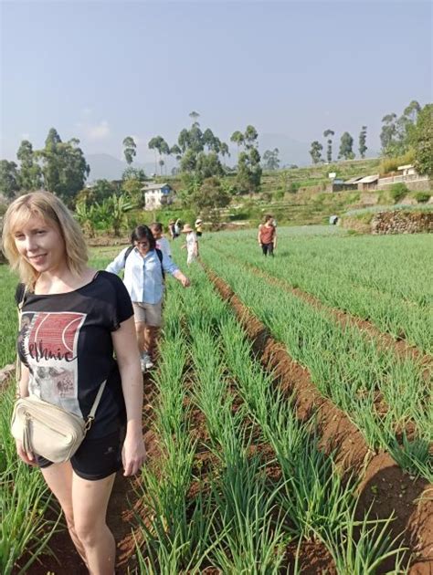 Bandung Volcano Hot Spring Mud Bathing Lake Tour Getyourguide