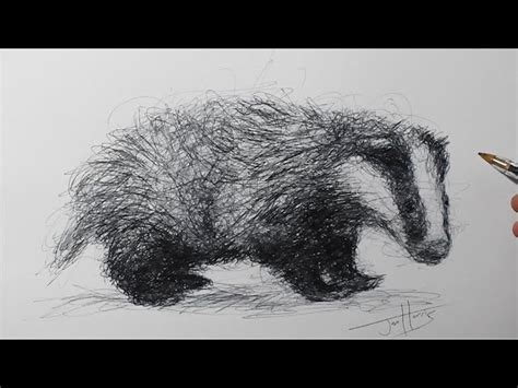 How to Draw a Badger | INSANE Drawing Skillz - Videos For Kids