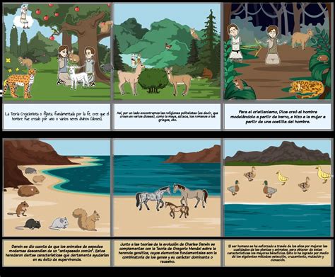 Teoría Creacionista Darwinista Storyboard By 37028e3e