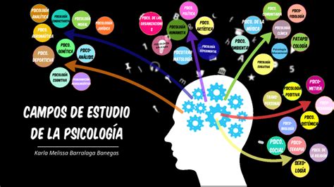 Campos De Estudio De La Psicolog A By Karla Barralaga On Prezi