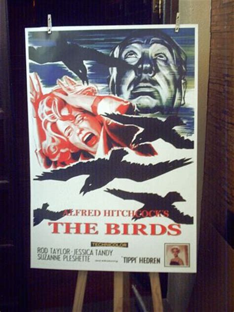 The Birds Los Pajaros De Alfred Hitchcock Cartel Color 100x69