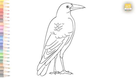 Magpie Drawing