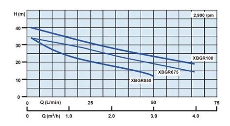 Cool Tech Pumps - Lowara XBGR Series Self-Priming Jet Pump with CentriPro MP Plus Pump ...