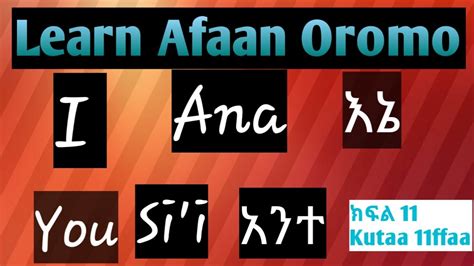 Pronouns Learn Afaan Oromo In Amharic Part Youtube