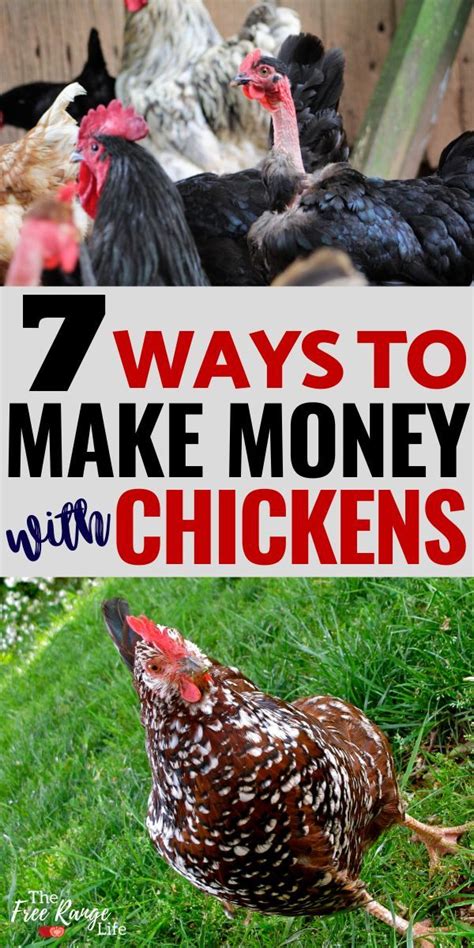 Profitable Poultry Make Money Raising Chickens Raising Chickens How