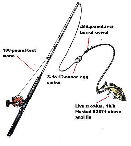 Double Hook Bottom Rig Bottom Fishing Rigs Bottom Fishing Two Hook