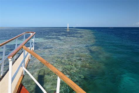 Wakatobi Snorkeling - We Found Healthy Reefs & Lots Of Fish