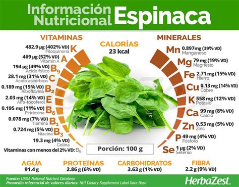 Infografia Propiedades Y Beneficios De La Espinaca Infografias Images