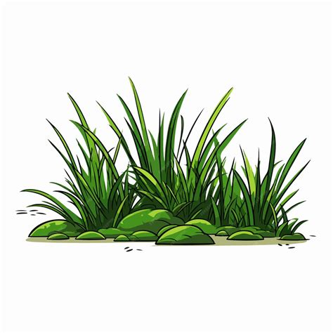 Premium Vector | Grass flat vector illustration Grass cartoon hand drawing isolated vector ...