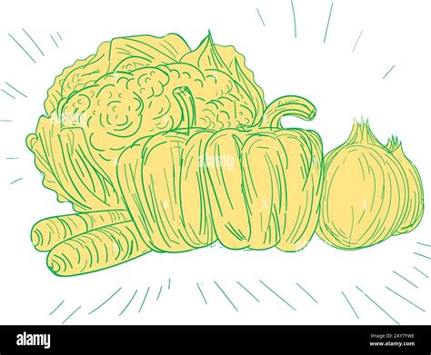 Broccoli Drawing High Resolution Stock Photography and Images - Alamy