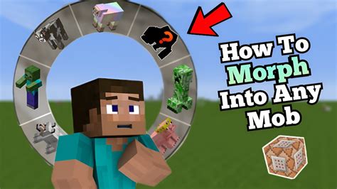 How To Morph Into Any Mob In Minecraft Command Block Tutorial