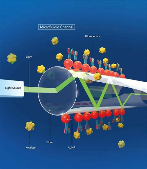 Detecting Biomarkers With Optical Fiber Ee Times Asia