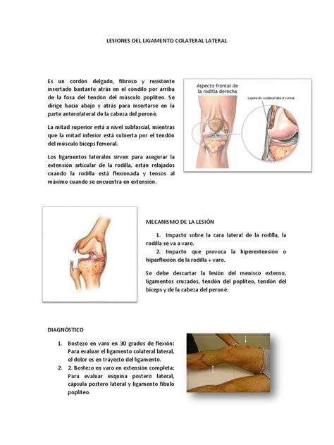 Lesiones Del Ligamento Colateral Lateral Rodilla Articulaciones