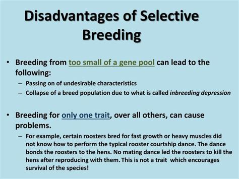 PPT - Selective Breeding PowerPoint Presentation - ID:1863291