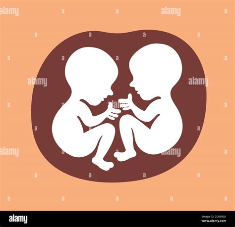 Twins Two Unborn Babies Are In Uterus Of Mother Prenatal Development