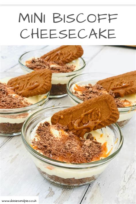 Mini Biscoff Cheesecake Recipe No Bake Super Easy Cheesecake Recipe