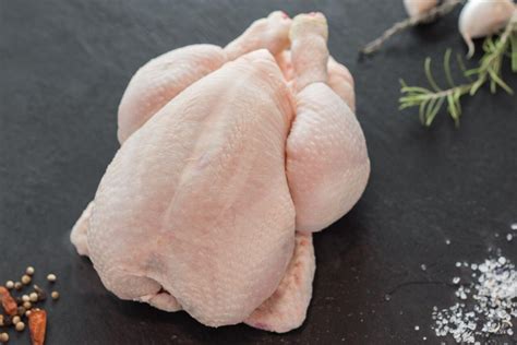 Alimentation Poulet de chair au Sénégal CoinAfrique Sénégal