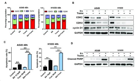 Trametinib Increases Ba Induced Cycle Arrest And Apoptosis In A