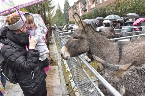 Fotos La Feria De Santa Luc A En Zumarraga Y Urretxu El Diario Vasco