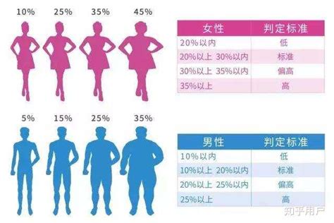 怎样才能拥有体脂20 知乎