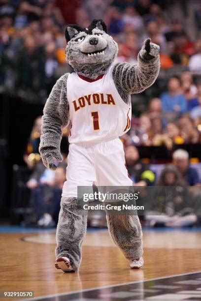 51 Loyola Chicago Mascot Stock Photos, High-Res Pictures, and Images ...