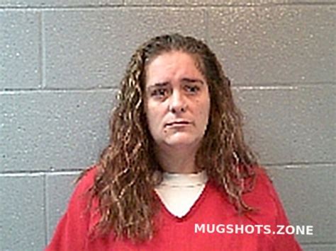 Seljan Kristen Amber Huron County Mugshots Zone