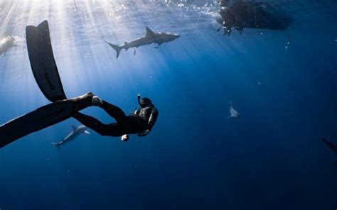 Oceanograf A Qu Es Historia Qu Estudia Ramas