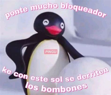 Noot Noot Créditos A Sus Creadores Xd Humor Humor Amreading Books Wattpad Spanish