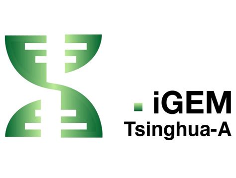 Team:Tsinghua-A - 2020.igem.org