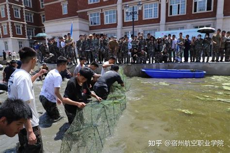 宿州航空职业学院鱼乐无穷，端午放粽！池塘捕鱼、包粽子、赛旱地龙舟这个端午超欢乐 知乎